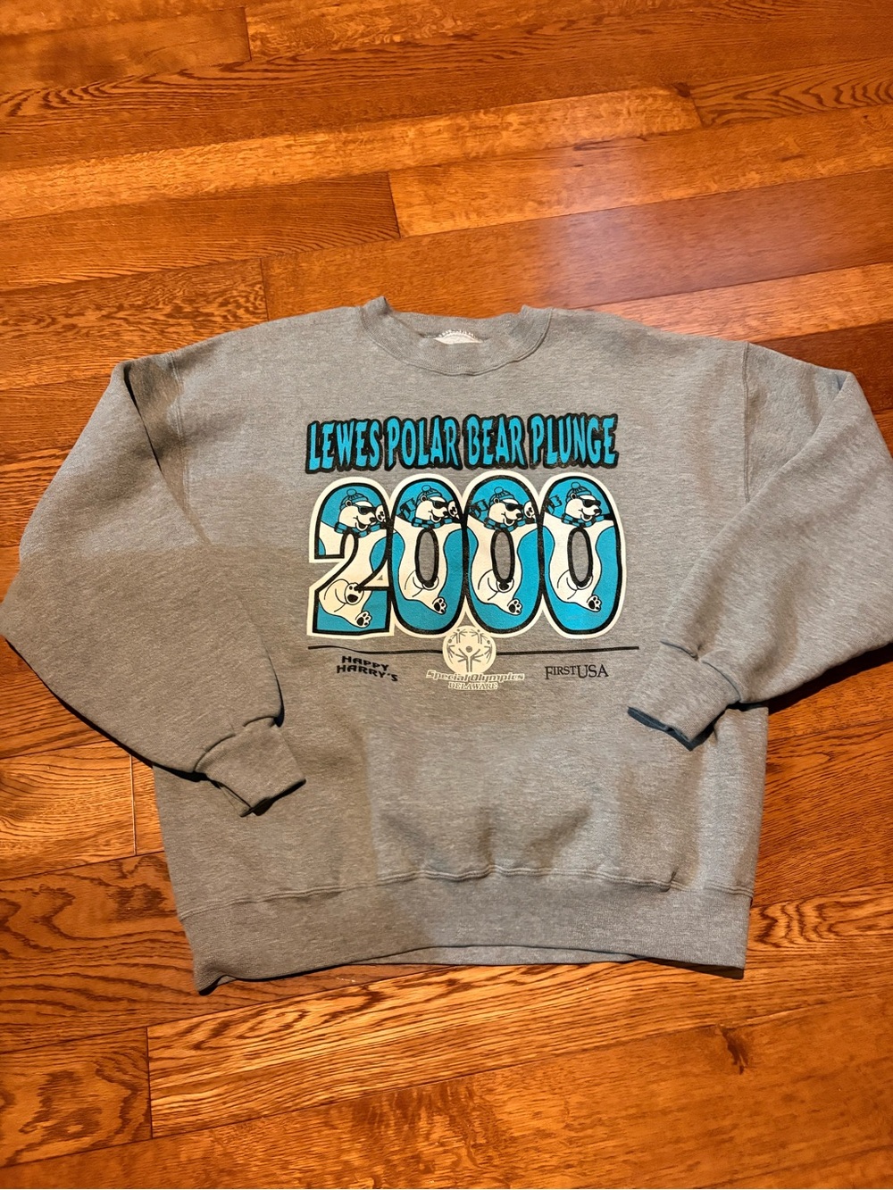 Gray Lewes Polar Bear Plunge from 2000 Sweatshirt